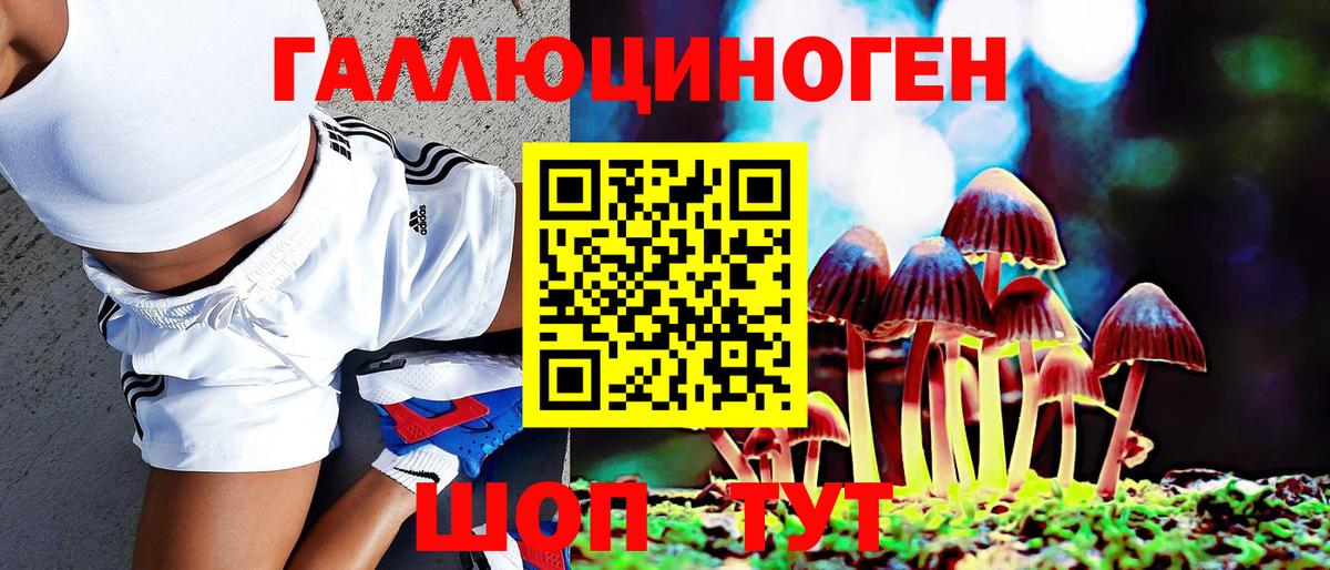 Псилоцибиновые грибы Cubensis Кемерово